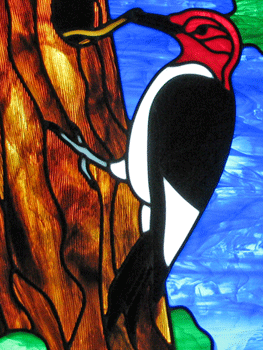 Woodpecker 10